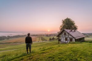 Read more about the article Key Insights and Takeaways from the Social and Solidarity Economy (SSE) Analysis