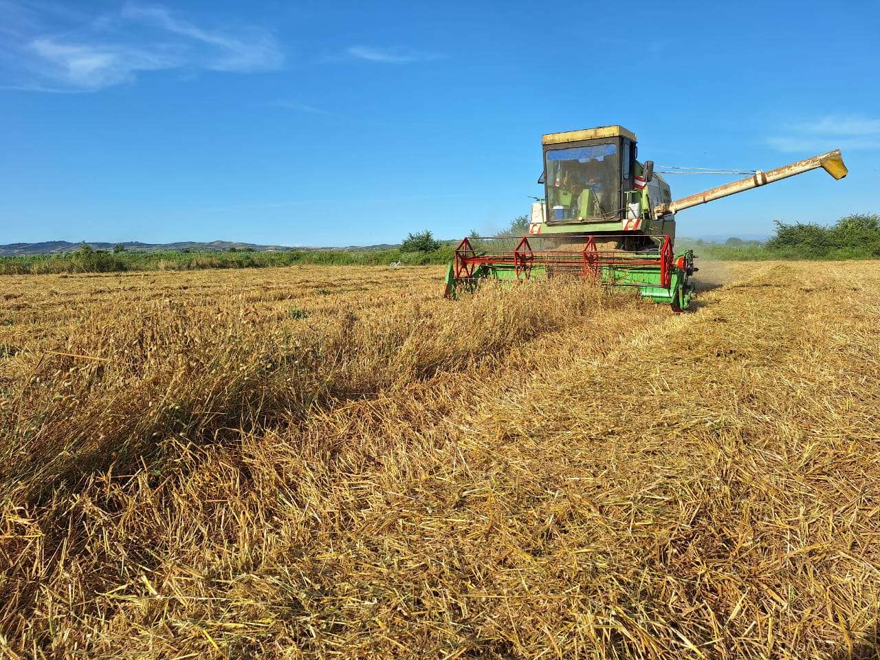 Social and solidarity economy in Albania development potential in rural areas and tourism sector